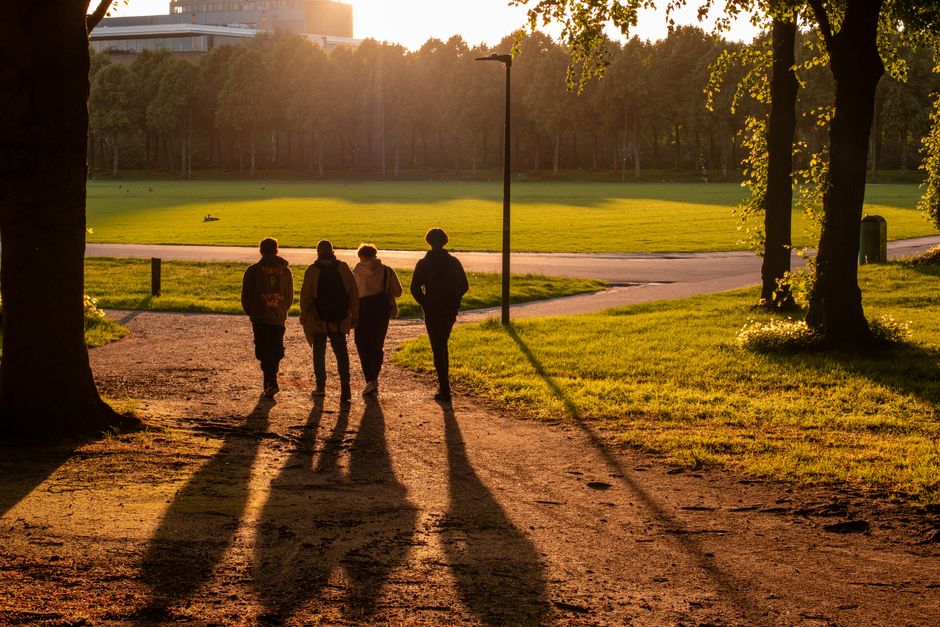 Four individuals walking along a dirt pathway in a park during late evening, with long shadows cast by the low sunlight. The group, consisting of two men and two women, are dressed in casual jackets and jeans, heading towards a cleared grassy area bordered by a paved road. To the left, large trees with textured bark and leafy canopies frame the scene, while on the right, more trees provide shade and separation from surrounding urban structures visible in the distant background. The background features an open green space with short, well-maintained grass, a few scattered birds, and a cityscape with high-rise buildings illuminated by the setting sun. The soft, warm light creates a tranquil atmosphere, aligning with themes of outdoor leisure and the importance of efficient rubbish removal to maintain such communal areas. Waste Collection Holland Park’s non-public waste handling services may include on-site clearance solutions suitable for local parks and public spaces, as subtly inferred from this natural scene.
