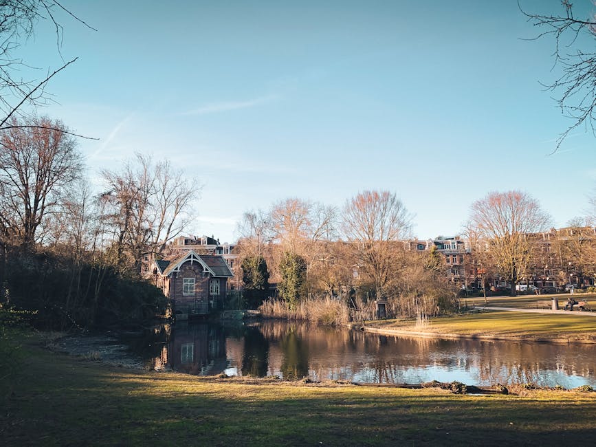 A tranquil scene featuring a small pond surrounded by grassy banks and leafless trees, with calm water reflecting the sky and nearby buildings. To the left, there is a brick house with a peaked roof and white-framed windows, partially obscured by trees. In the background, a row of residential buildings with multiple stories and flat roofs is visible behind the trees, indicating an urban or suburban environment. The sky is clear with a soft blue hue, and the scene is evenly lit, suggesting daytime. The area appears to be part of a public park or green space within a residential district, where private waste collection or on-site clearance services, such as those provided by Waste Collection Holland Park, might be relevant for managing debris or rubbish removal, especially in relation to property maintenance or renovation activities near this setting.